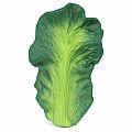 Oli & Carol Kendall the Kale Teether