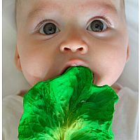 Oli & Carol Kendall the Kale Teether