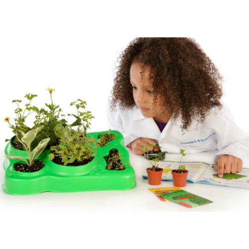 Kids First Botany Experimental Greenhouse Smart Kids Toys