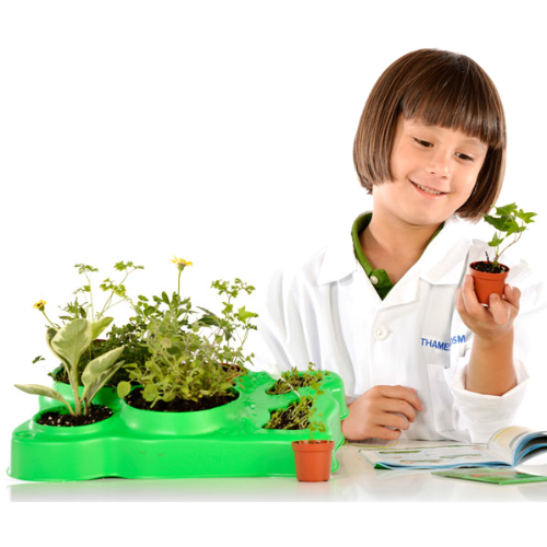 Kids First Botany Experimental Greenhouse Smart Kids Toys