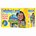 Ladybug Land with Voucher