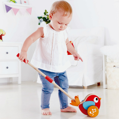 hape lilly musical push along