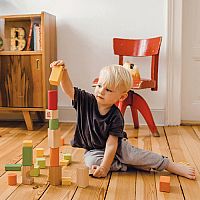 Lion Babablocks Building Blocks