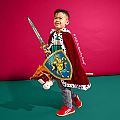 Liontouch Knight Set