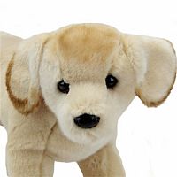 Mandy Yellow Lab