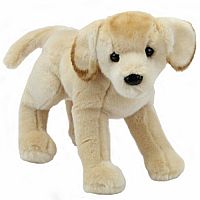 Mandy Yellow Lab