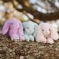 Mini Soft Bunny