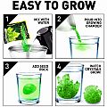 National Geographic Glow-In-The-Dark Crystal Lab