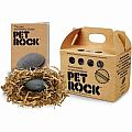 Pet Rock