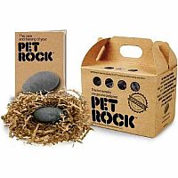 Pet Rock