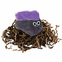 Pet Rock