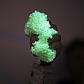 Playfoam Glow in the Dark 8 Pack