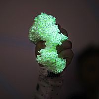Playfoam Glow in the Dark 8 Pack