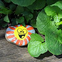 Hide & Seek Rock Painting Kit