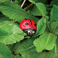 Hide & Seek Rock Painting Kit
