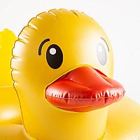Rubber Ducky Pool Float