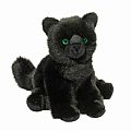 Salem Black Cat