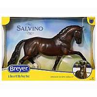 Breyer Salvino