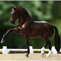Breyer Salvino