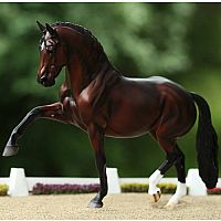 Breyer Salvino