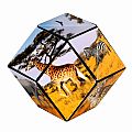 Shashibo - The Shape Shifting Box - Savanna
