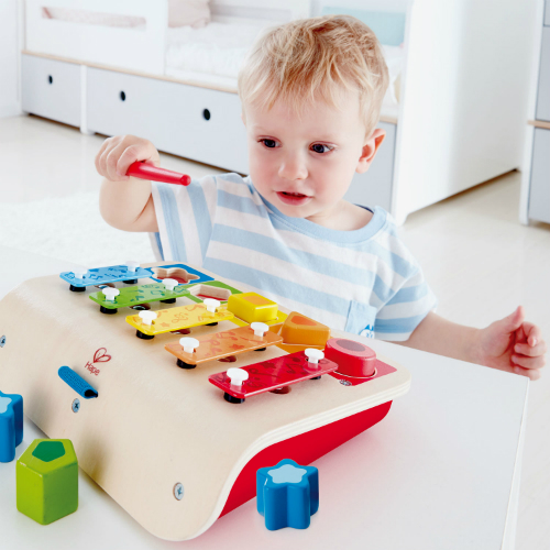 hape color and shape sorter