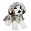 Skylar Australian Shepherd DLX