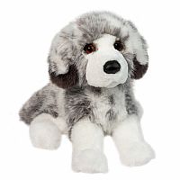 Skylar Australian Shepherd DLX