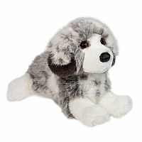 Skylar Australian Shepherd DLX