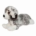 Skylar Australian Shepherd DLX