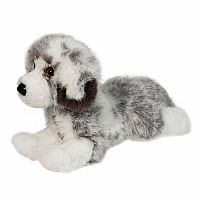 Skylar Australian Shepherd DLX