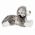 Skylar Australian Shepherd DLX