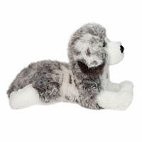 Skylar Australian Shepherd DLX