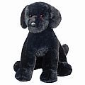 Spruce Black Lab