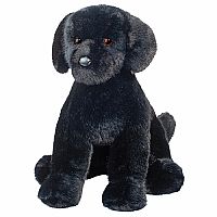 Spruce Black Lab