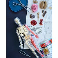 Smart Lab Squishy Human Body