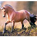 Breyer Sweetwater's Zorah Belle