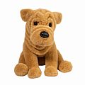 Tater DLux Shar-Pei