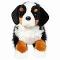 Trooper Bernese Mountain Dog