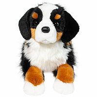 Trooper Bernese Mountain Dog