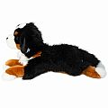 Trooper Bernese Mountain Dog