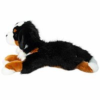Trooper Bernese Mountain Dog