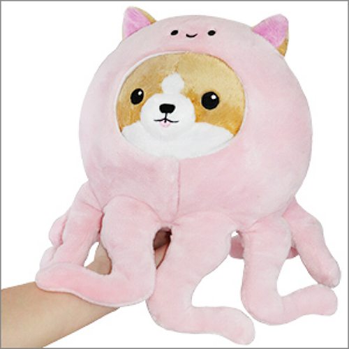 squishable mini corgi