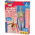 Thames & Kosmos Visible Human Body 
