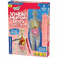 Thames & Kosmos Visible Human Body 