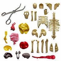 Thames & Kosmos Visible Human Body 