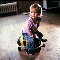Wheely Bug - Bee