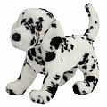 Winston Dalmatian