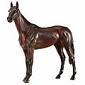 Winx Breyer Traditional Horse